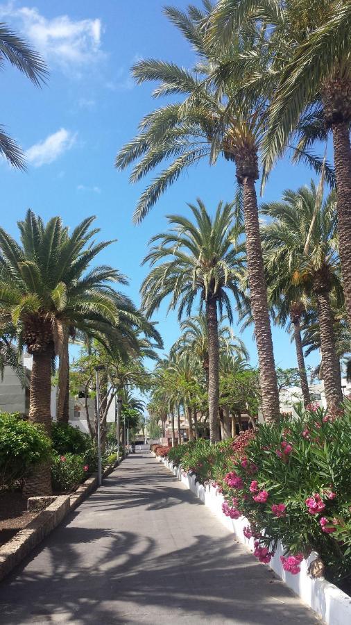 Simple Apartment Frontera Primavera Pool In South Tenerife Costa Del Silencio Exterior foto